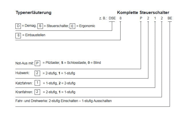 Demag Steuerschalter DSE10R VVV, inkl. Steuerkabel 2TY DR-6m – Ansicht 2