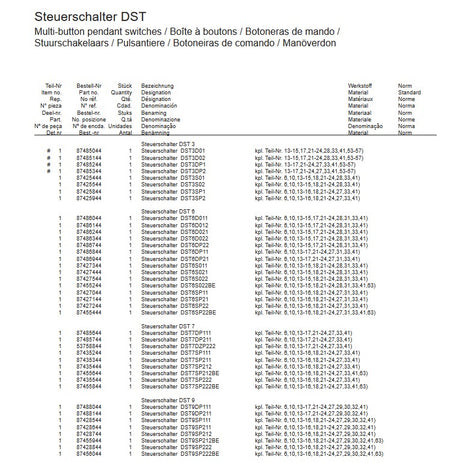 Demag Steuerschalter DST9DP211, 2-stufig / 1-stufig, Direktgesteuert mit Not-Aus – Ansicht 4